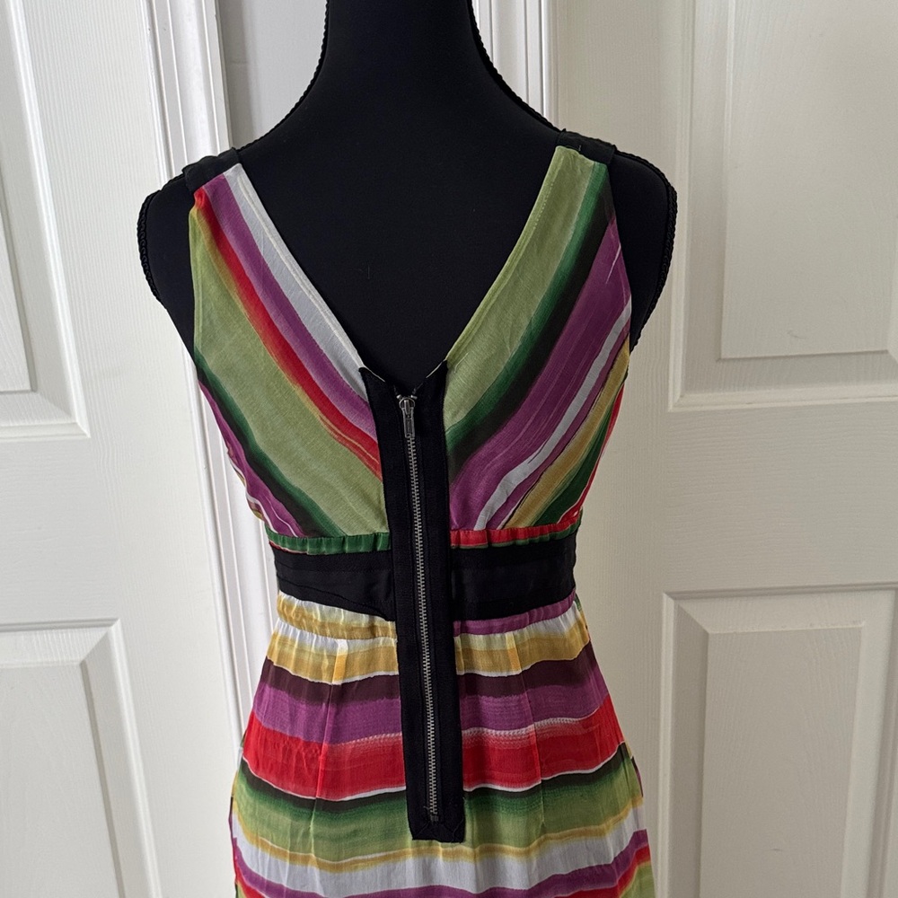 The Limited Multicolor Striped Midi Dress - Picture 6 of 6